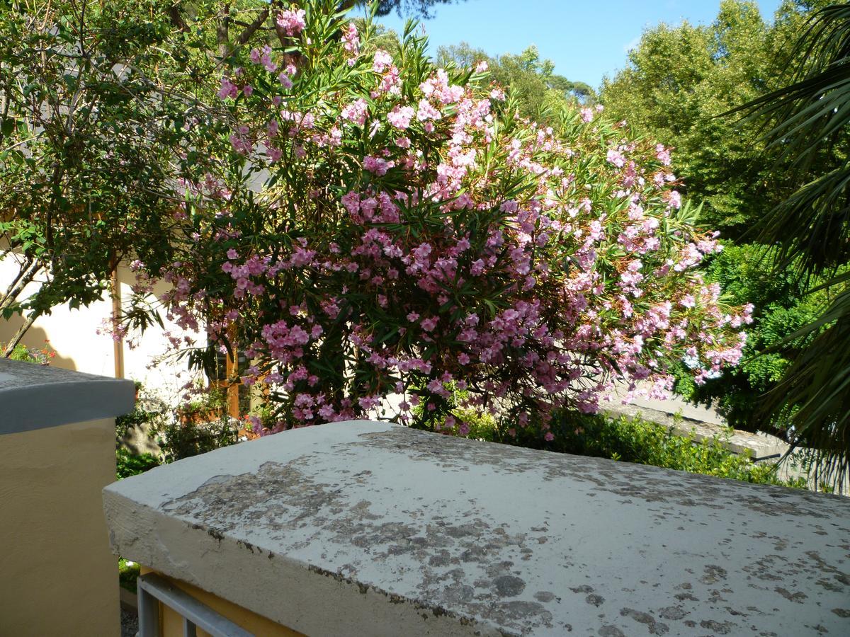 קורטונה Villa Santa Margherita - B&B מראה חיצוני תמונה